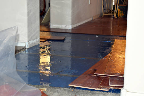 Professional Basement Water Removal technician working in Apple Valley, UT